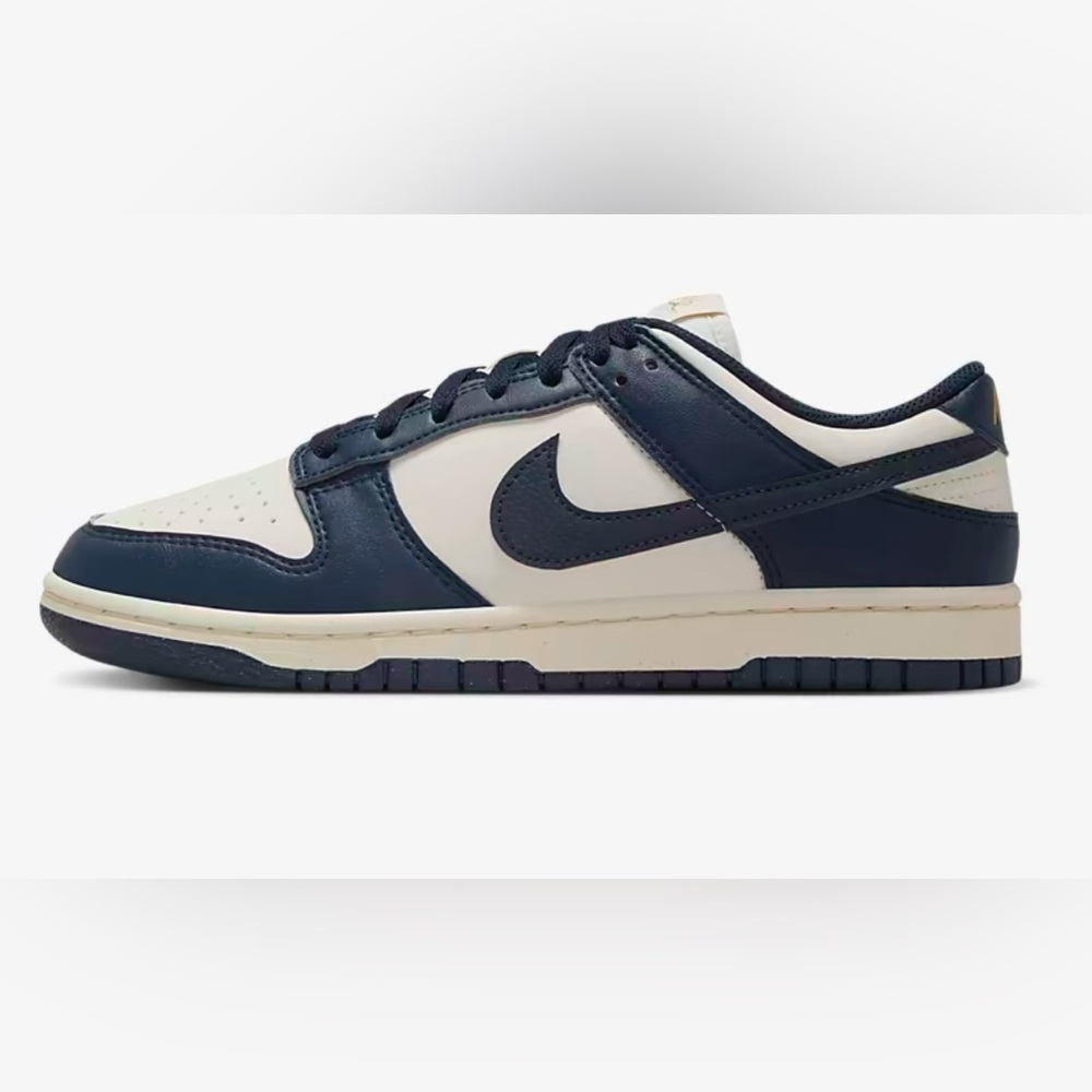 Navy Nike Dunk Low Next Nature Shoe